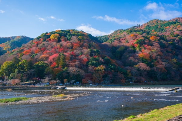 嵐山の写真