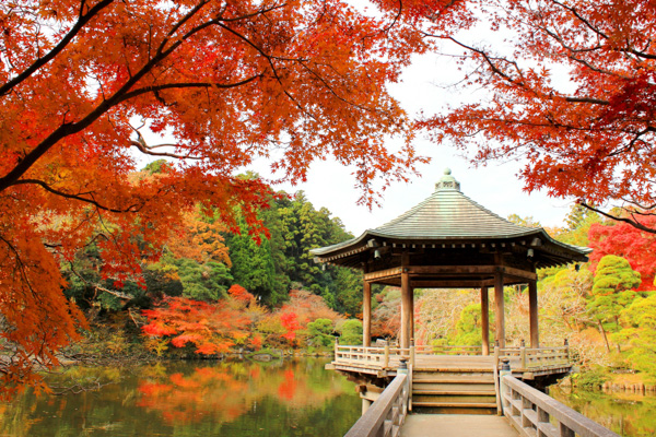 成田山公園の写真