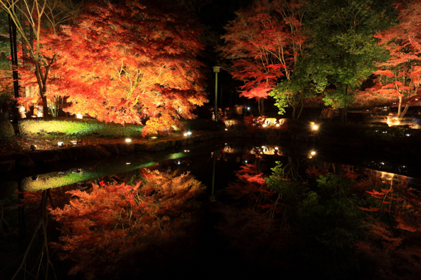曽木公園の写真
