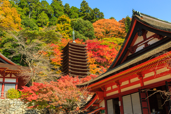 談山神社の写真