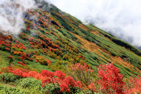 谷川岳の写真