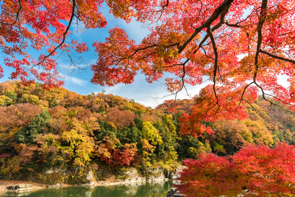 長瀞(ラインくだり)の写真