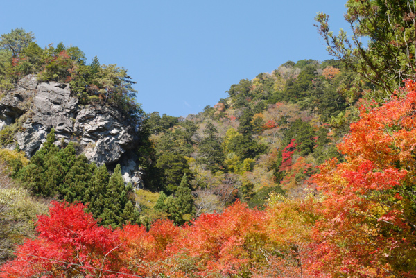 面河渓の写真