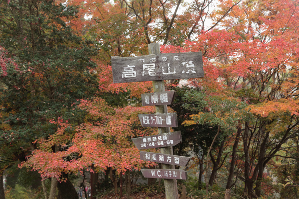高尾山の写真