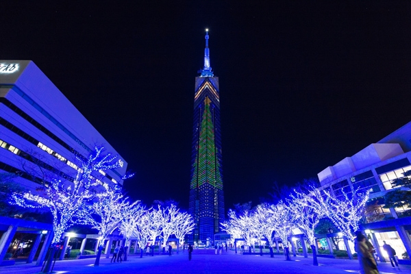 福岡タワーのイルミネーションの写真