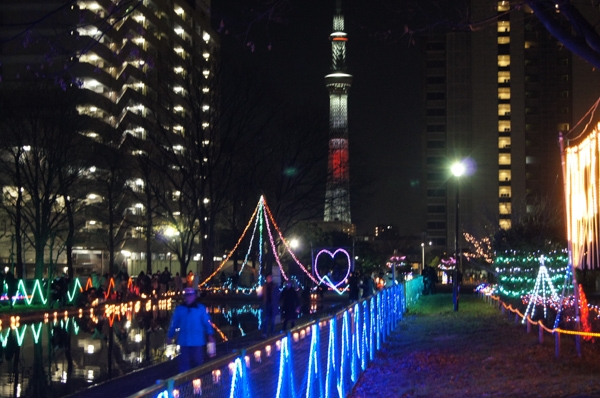 東白鬚公園のイルミネーションの写真