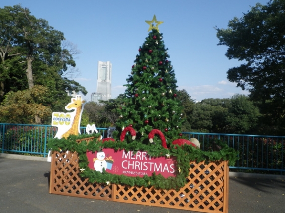野毛山動物園のイルミネーションの写真