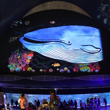 神戸市立須磨海浜水族園のイルミネーションの写真