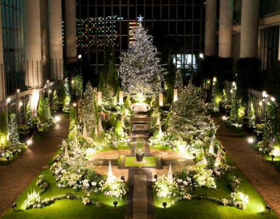 奇跡の星の植物館のイルミネーションの写真